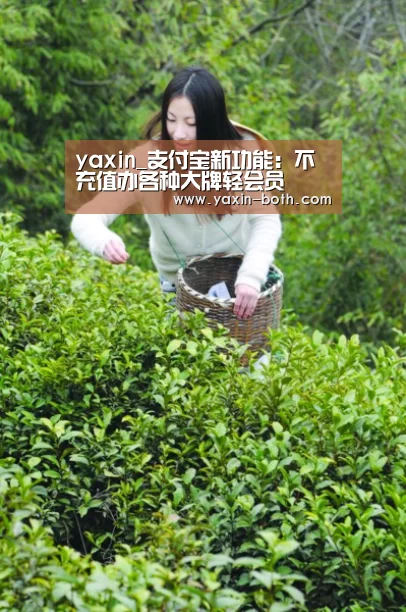 yaxin_支付宝新功能:不充值办各种大牌轻会员(图1) 亚新app