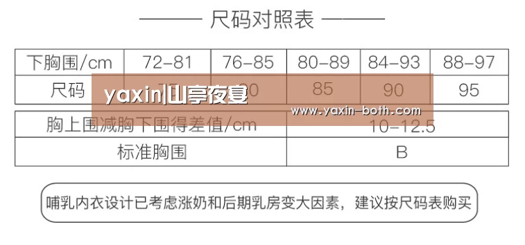 亚新网站