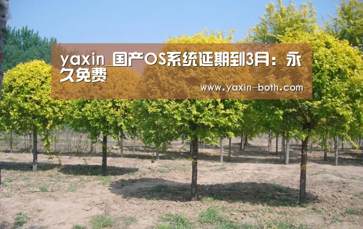 yaxin_国产OS系统延期到3月:永久免费(图2) 亚新官网