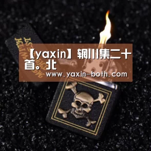 亚新网站