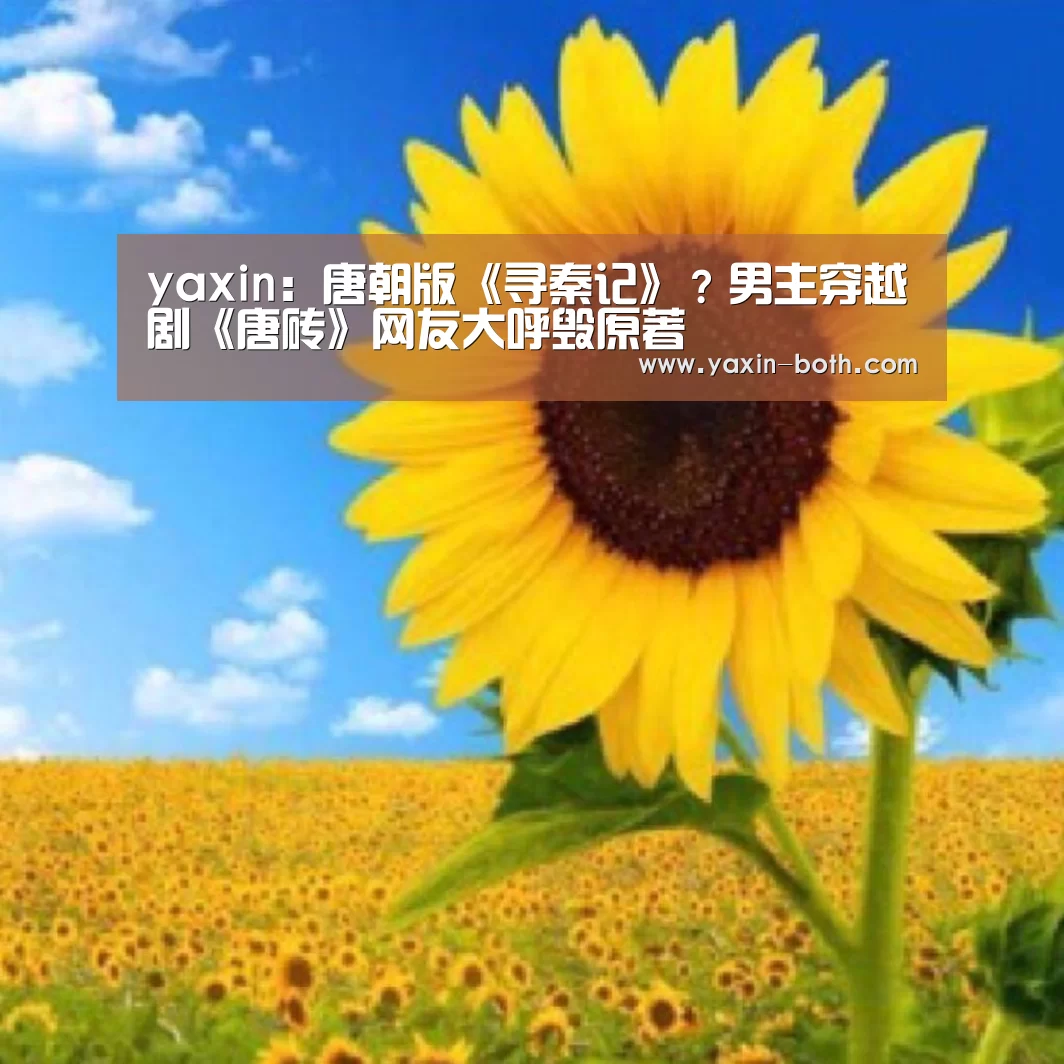 yaxin:唐朝版《寻秦记》?男主穿越剧《唐砖》网友大呼毁原著(图1) 亚新app