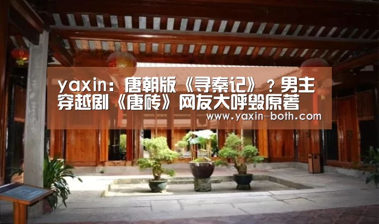 yaxin:唐朝版《寻秦记》?男主穿越剧《唐砖》网友大呼毁原著(图2) 亚新网站