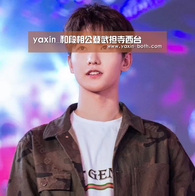 亚新网站
