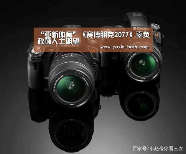 “亚新体育”《赛博朋克2077》辜负政确人士期望(图1)