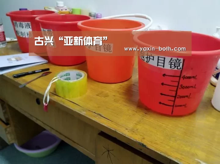 亚新网站